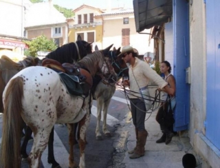  Etapa de la camicrema ecuestre 